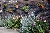 Driveway garden