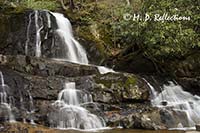 Laurel Falls, Great Smoky Mountains National Park, TN