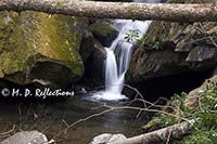 Grotto Falls, Great Smoky Mountains National Park, TN