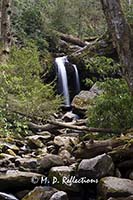 Grotto Falls, Great Smoky Mountains National Park, TN