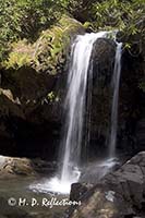 Grotto Falls, Great Smoky Mountains National Park, TN