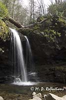 Grotto Falls, Great Smoky Mountains National Park, TN