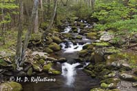 Roaring Fork, Roaring Fork Motor Trail, Great Smoky Mountains National Park, TN