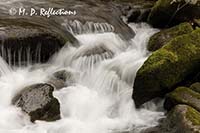 Roaring Fork, Roaring Fork Motor Trail, Great Smoky Mountains National Park, TN