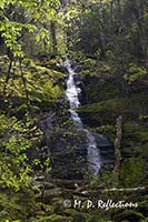 Fern Branch Falls, Porter's Creek Trail, Great Smoky Mountains National Park, TN