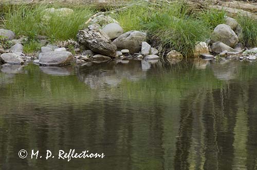 Reflections in the Middle Prong Little River, Great Smoky Mountains National Park, TN