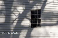 Tree shadows on the side of the Primitive Baptist Church, Cades Cove, Great Smoky Mountains National Park, TN