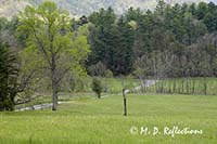 Cades Cove, Great Smoky Mountains National Park, TN