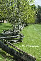 Wooden fence, Dan Lawson Place, Cades Cove, Great Smoky Mountains National Park, TN