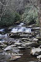 Cascades, Road Prong Branch, Great Smoky Mountains National Park, TN