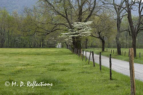 Spark's Lane, Cades Cove, Great Smoky Mountains National Park, TN