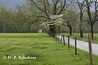 Spark's Lane, Cades Cove, Great Smoky Mountains National Park, TN