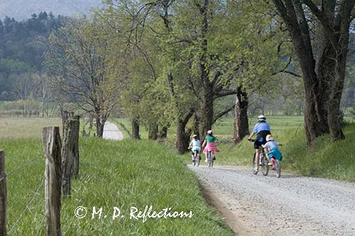 Hyatt Lane, Cades Cove, Great Smoky Mountains National Park, TN