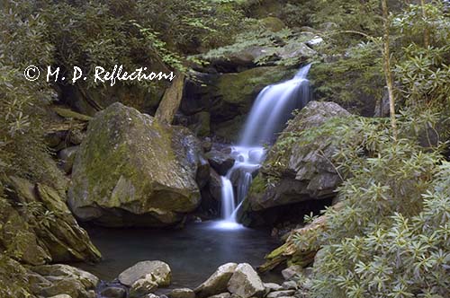 Grotto Falls, Great Smoky Mountains National Park, TN